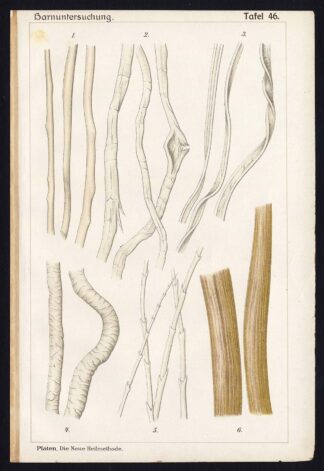 Antique Print MEDICAL-CONTAMINATION-COTTON-SILK-WOOL-HAIR-Taf 46-Platen-1907