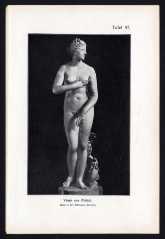 Antique Print-VENUS-MEDICI-Taf 57-Platen-1907