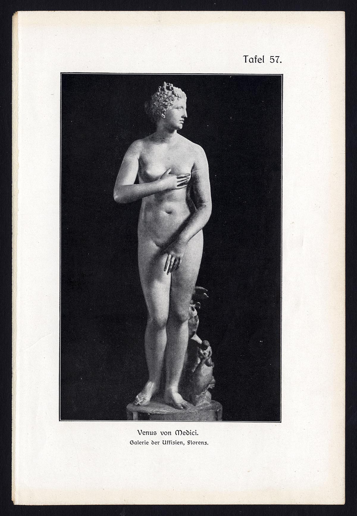 , Antique Print-VENUS-MEDICI-Taf 57-Platen-1907, Pictura Antique Prints