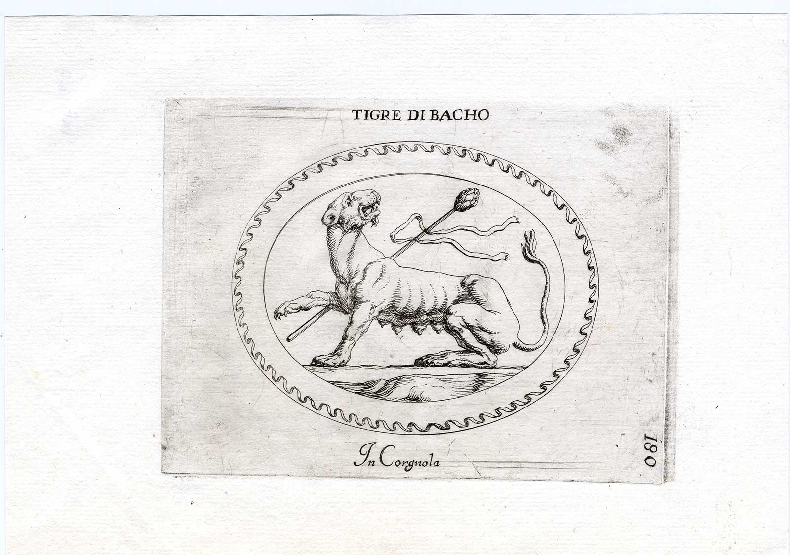 , Rare Antique Print-TIGER-THYRSUS-Pl. 180-Agostini-Battista-1657, Pictura Antique Prints
