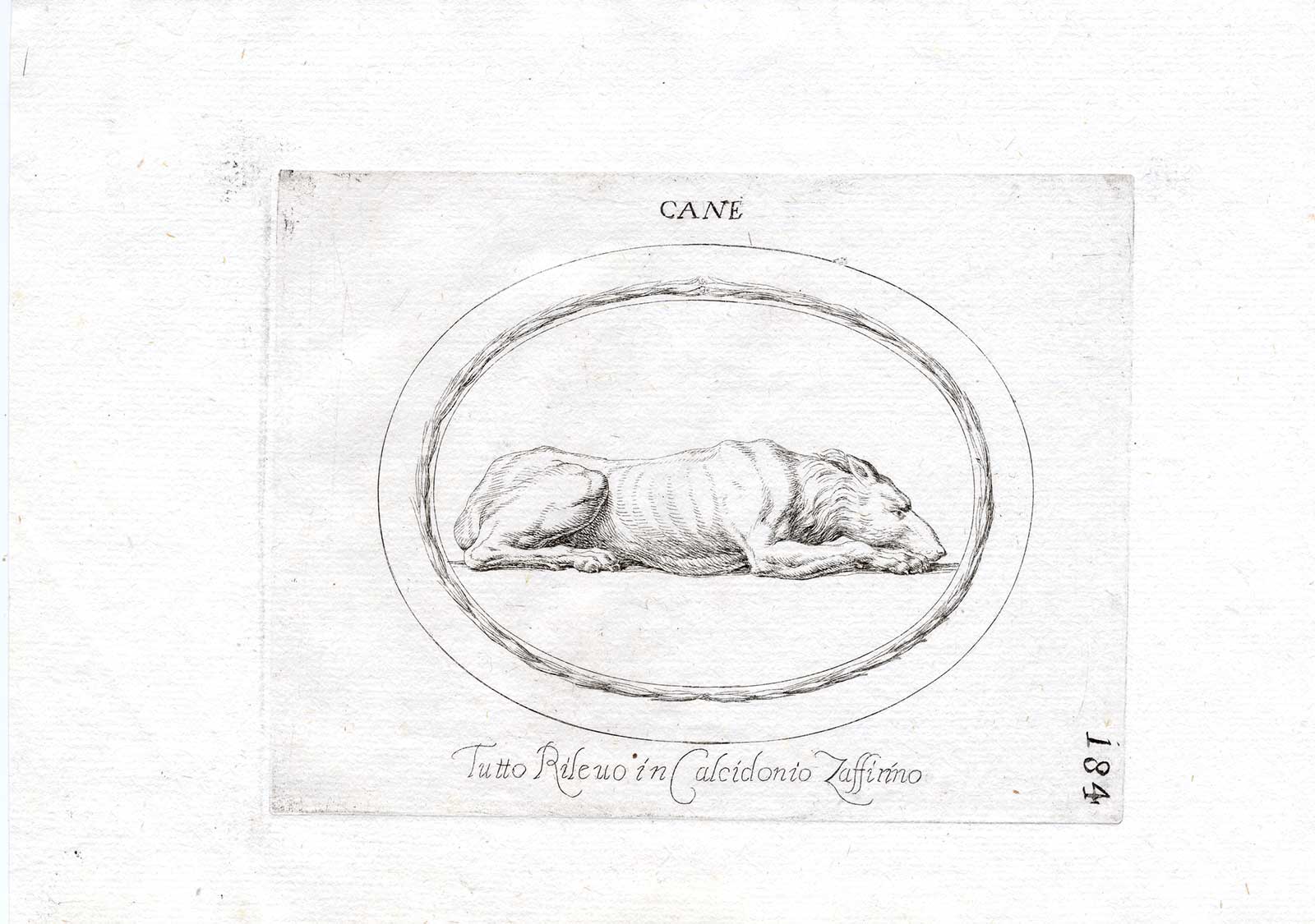 , Rare Antique Print-DOG-CHALCEDONY-Pl. 184-Agostini-Battista-1657, Pictura Antique Prints