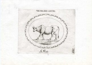 Rare Antique Print-EGYPTIAN COW-ONYX-CAMEO-Pl. 188-Agostini-Battista-1657