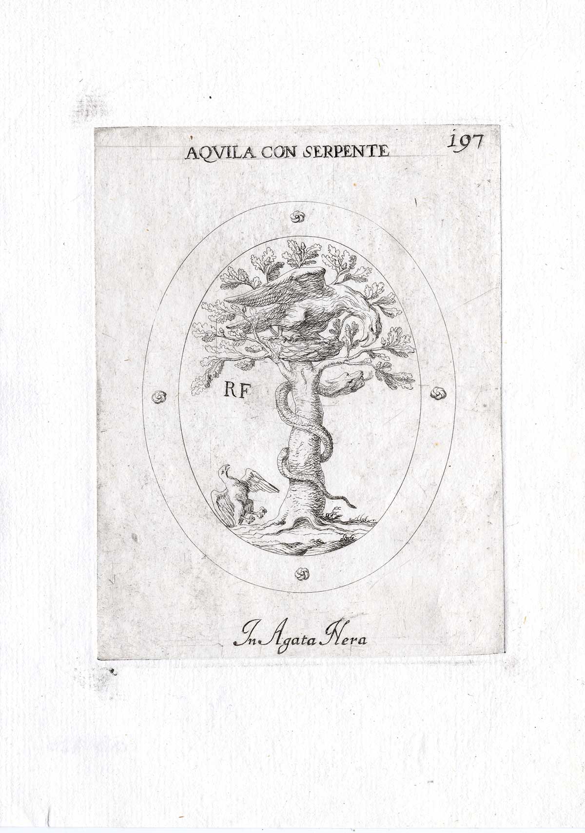 , Rare Antique Print-EAGLE-SERPENT-TREE-SNAKE-Pl. 197-Agostini-Battista-1657, Pictura Antique Prints