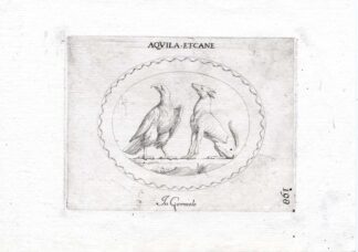 Rare Antique Print-EAGLE-DOG-Pl. 198-Agostini-Battista-1657