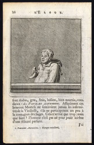 Antique Print-PRAISE OF FOLLY-HALF SAUSAGE-Holbein-Erasmus-1728