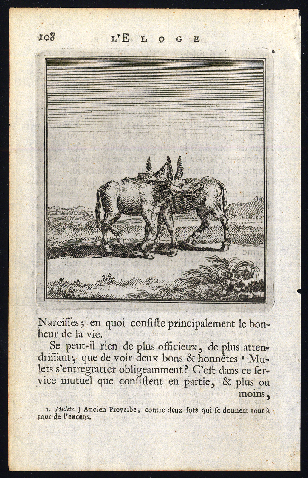 , Antique Print-PRAISE OF FOLLY-ASSES BITING EACH OTHER-Holbein-Erasmus-1728, Pictura Antique Prints