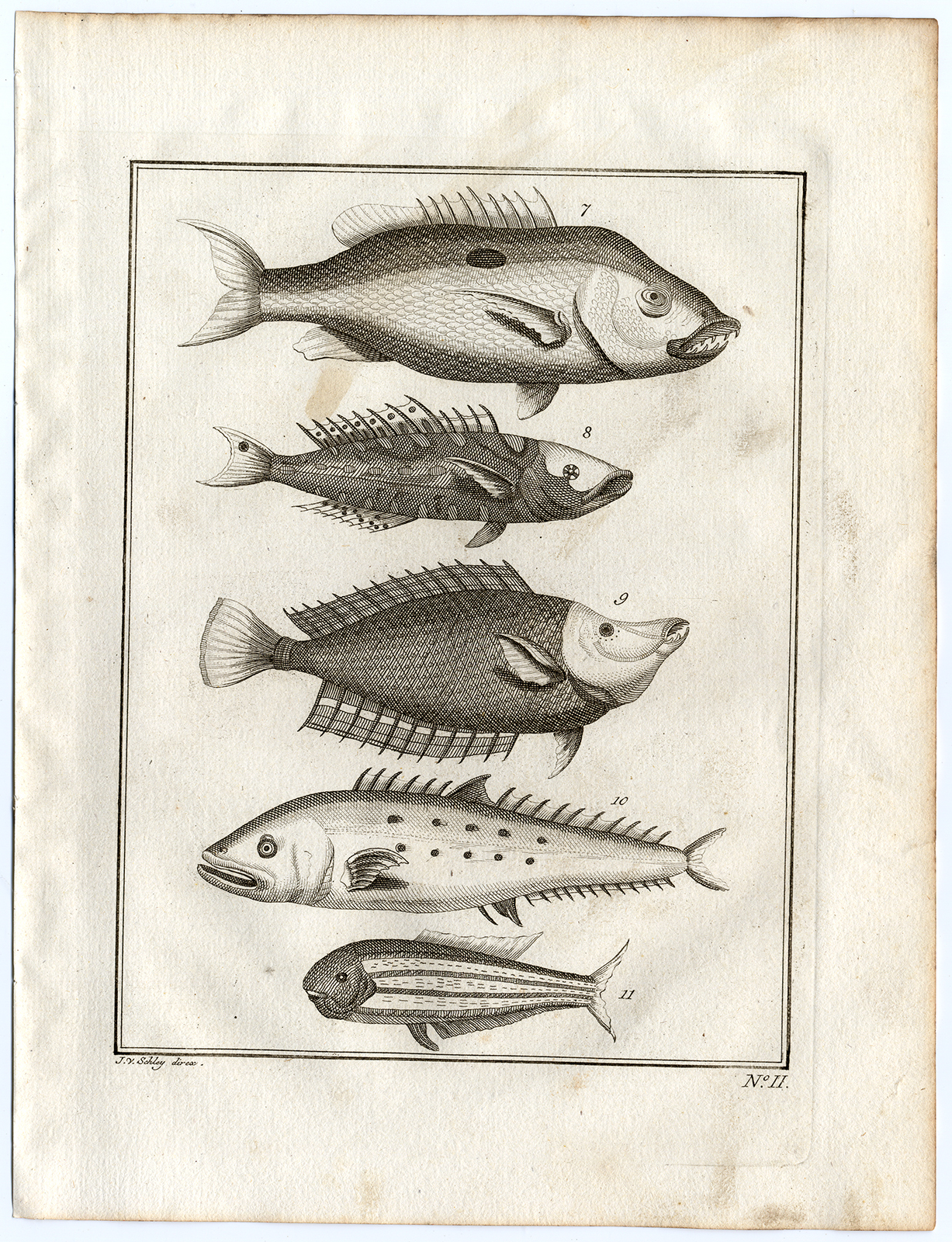 , Antique Print-AMBON-SOUTHEAST ASIA-TROPICAL FISH-II-Schley-Bellin-Roman-1767, Pictura Antique Prints