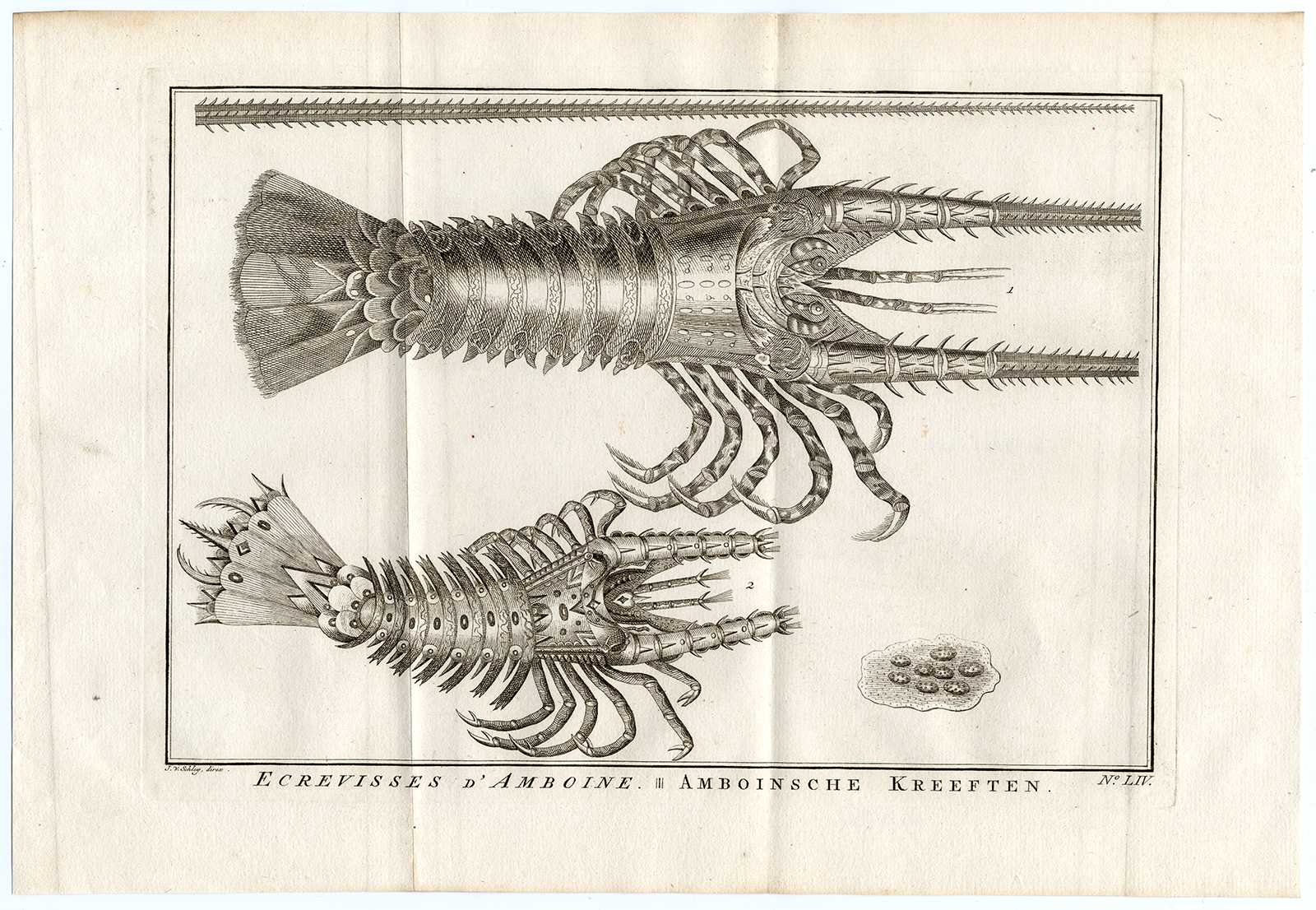 , Antique Print-AMBON-LOBSTER-SHRIMP-SPECIES-SPAWN-LIV-Schley-Bellin-Roman-1767, Pictura Antique Prints