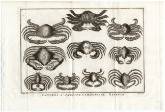 Antique Print-AMBON-CRABS-SPECIES-LVI-Schley-Bellin-Roman-1767