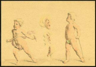 Antique Print-ETUDES D'ENFANTS-CANE-FIG-LEAF-STUDY EAR-Meyer-1892