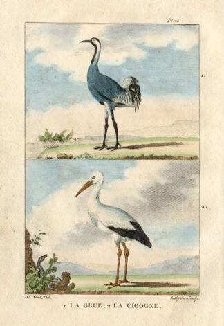 Antique Print-CRANE-STORK-GRUE-CIGOGNE-Buffon-1822