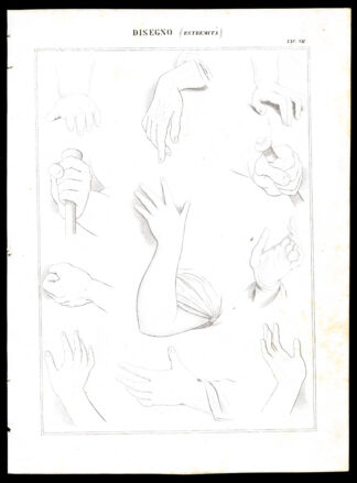 4 Antique Prints-FINE ARTS-DRAWING-HANDS-FOOT-FEET-Nuova Enciclopedia-1866