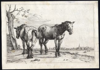 Antique Master Print-HORSE-VILLAGE-FIELD-LANDSCAPE-Potter-ca. 1650