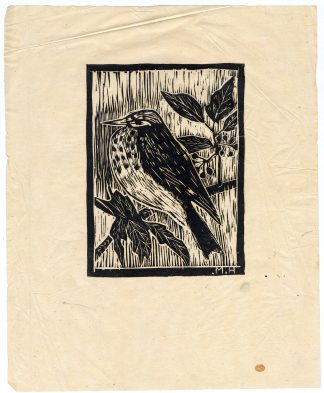 Original Print-SONG THRUSH-TURDUS PHILOMENOS-WOODCUT-Monogrammist MH-1930