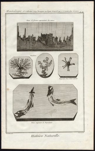Antique Print-FOSSIL-IMPRINT-SEA STAR-DENDRITE-Diderot-Benard-1751