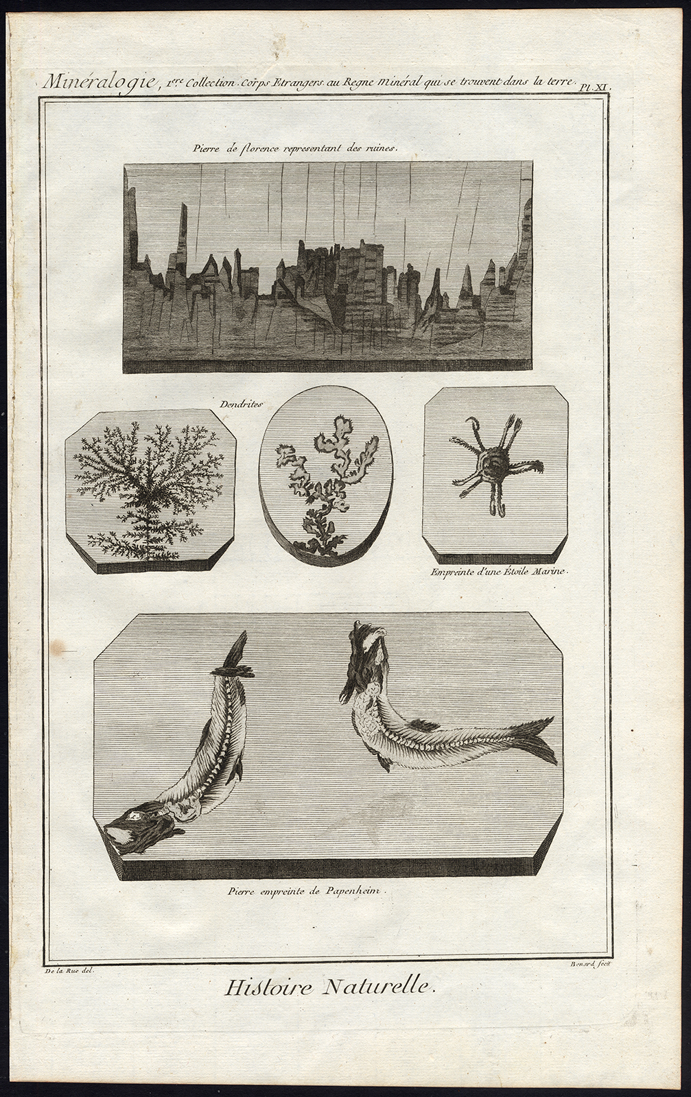 Ab6877 416x661 Antique Print-FOSSIL-IMPRINT-SEA STAR-DENDRITE-Diderot-Benard-1751