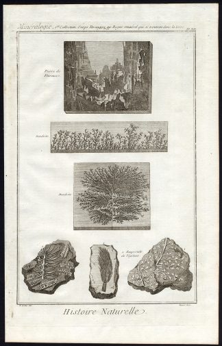 Antique Print-FOSSIL-IMPRINT-FERN-PLANT-DENDRITE-Diderot-Benard-1751
