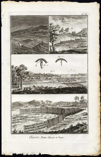 12 Antique Prints-HUNTING-TRAPS-BIRD TRAPPING-BIRD CATCHING-Diderot-1751