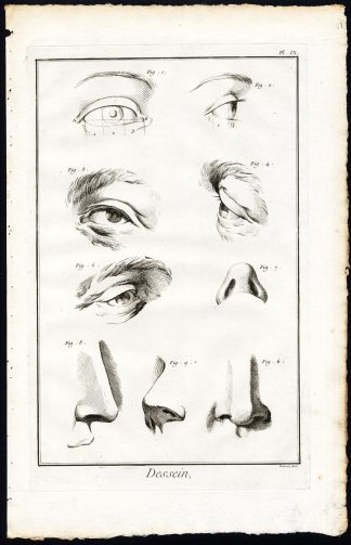 5 Antique Prints-ART-DRAWING-HUMAN BODY-LIMBS-FACE-LEG-FOOT-Diderot-Prevost-1751