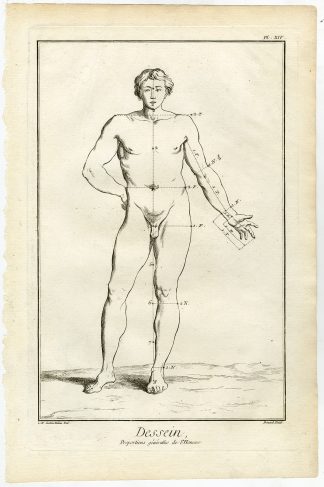Antique Print-ART-DRAWING-HUMAN BODY-PROPORTIONS-Diderot-Defehrt-1751