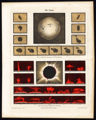 Antique Prints-SUN-SOLAR-ECLIPSE-Meyers-1895