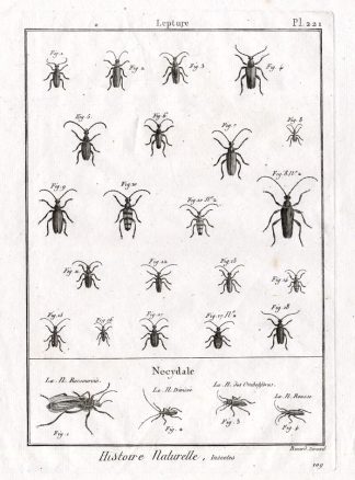 Antique Print-FLOWER LONGHORN-BEETLES-Panckoucke-1798