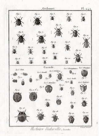 Antique Print-LEAF-TORTOISE BEETLES-Panckoucke-1797
