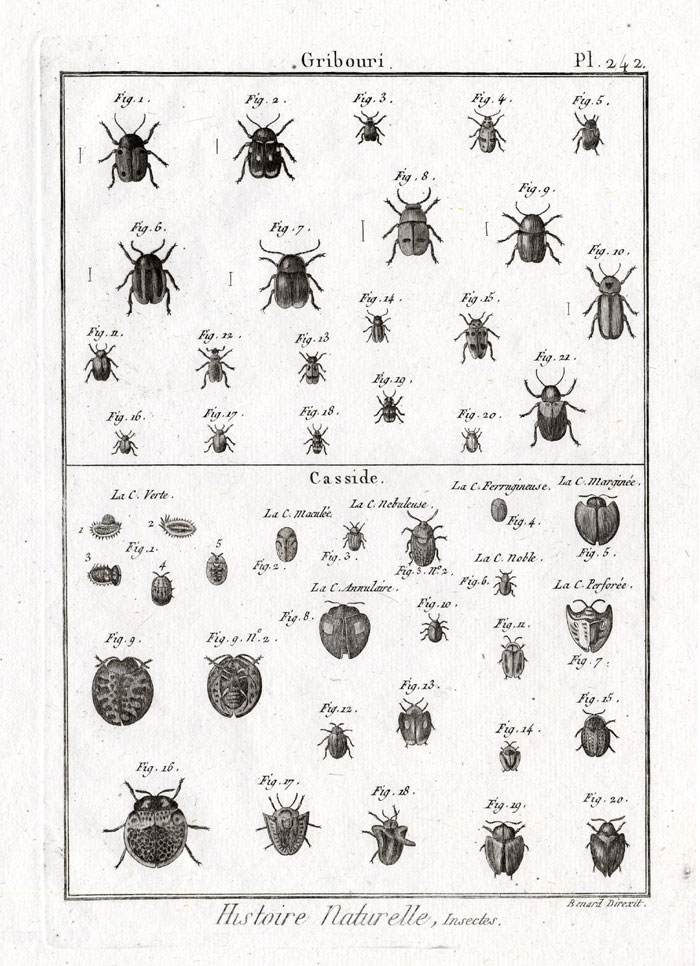 , Antique Print-LEAF-TORTOISE BEETLES-Panckoucke-1797, Pictura Antique Prints