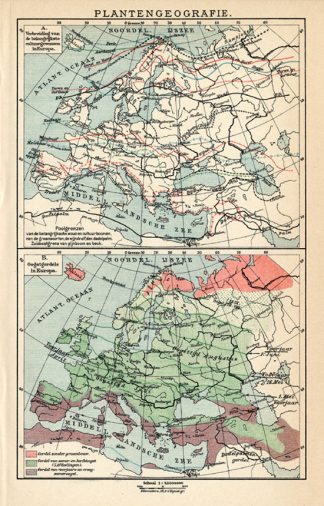 Antique Map-EUROPE-GEOGRAPHY OF PLANTS-Meyers-1895