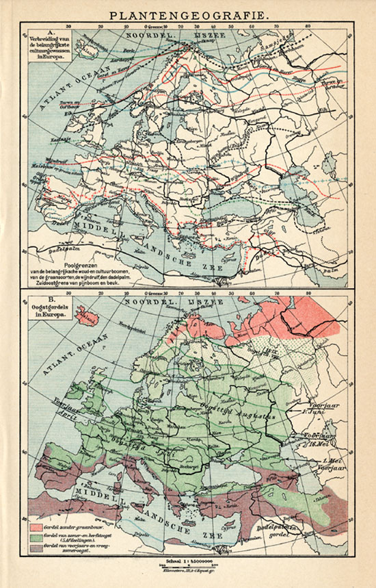 , Antique Map-EUROPE-GEOGRAPHY OF PLANTS-Meyers-1895, Pictura Antique Prints