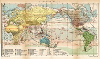 Antique Map-ANIMAL GEOGRAPHY 1-WORLD MAP-Meyers-1895