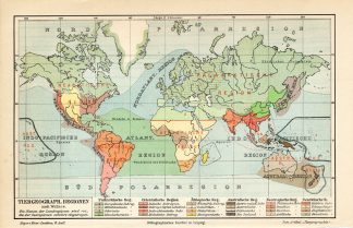 Antique Map-ANIMAL GEOGRAPHY-WORLD MAP-Meyers-1895