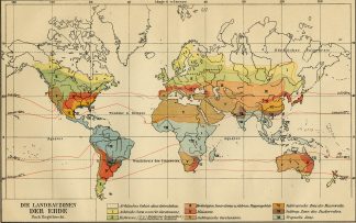 Antique Map-AGRICULTURE-WORLD MAP-Meyers-1895