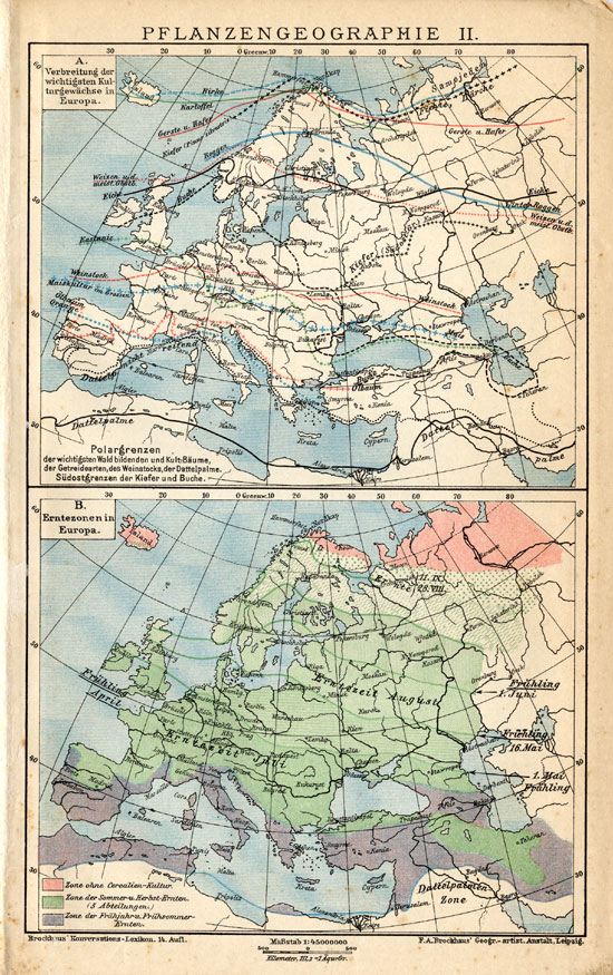 , Antique Map-PLANTS-GEOGRAPHY-EUROPE-Meyers-1895, Pictura Antique Prints