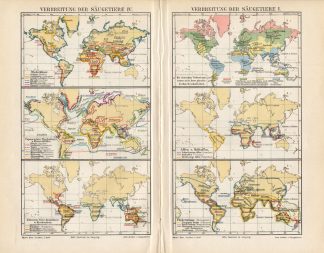 Antique Map-DISPERSION OF MAMMALS-WORLD MAP-Meyers-1895