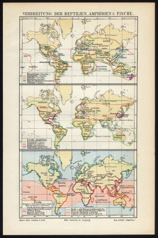 Antique Map-DISPERSION REPTILES-WORLD MAP-Meyers-1895