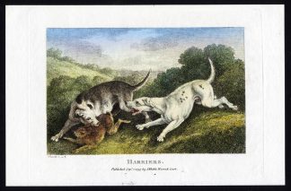 Antique Print-HARRIERS-HARE-DOG-HUNTING-Howitt-1797