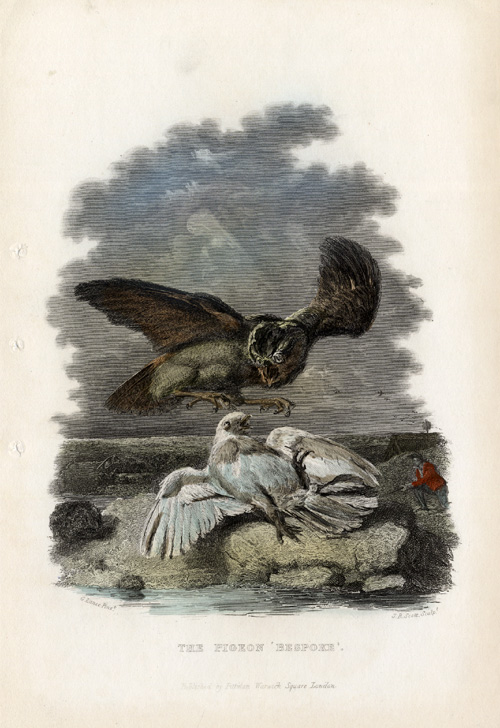 , Antique Print-PIGEON-HAWK HUNTING-FALCONRY-Scott-1860, Pictura Antique Prints