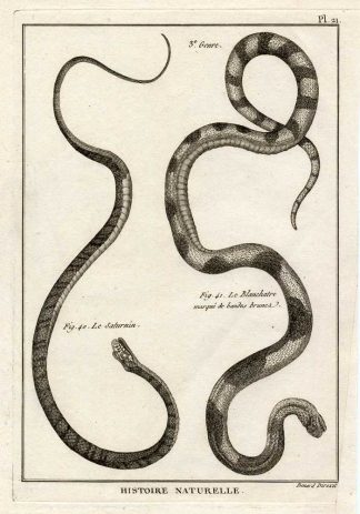 Antique Print-SNAKES-SATURNIN-BLANCHE-Panckoucke-1789