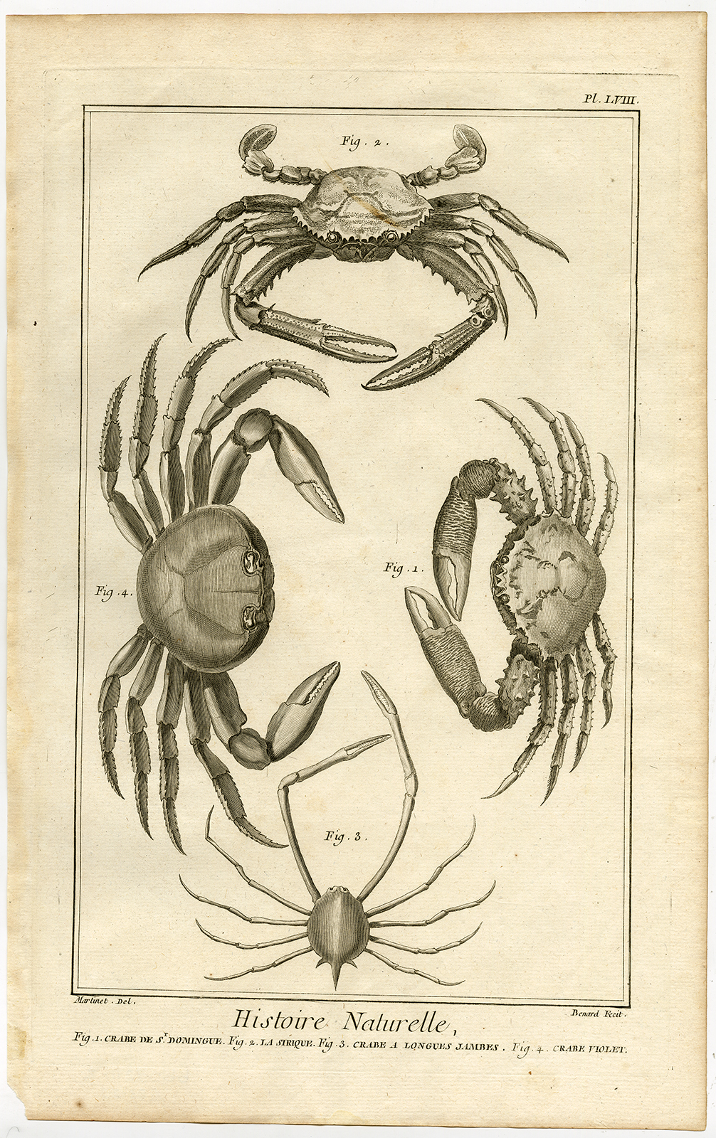 , Antique Print-SPIDER CRAB-GUINOTIA DENTATA-PURPLE MARSH-Martinet-Diderot-1751, Pictura Antique Prints