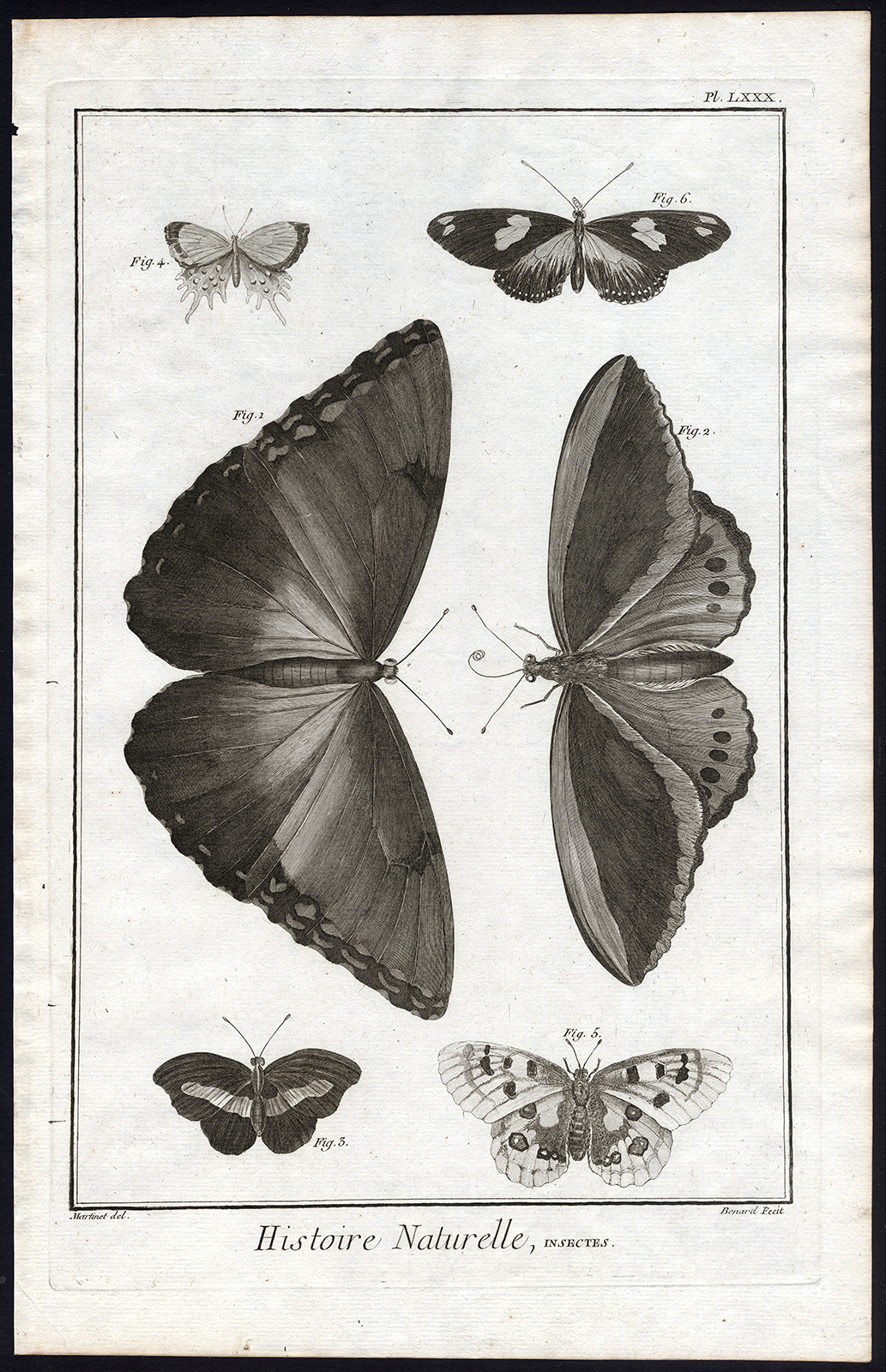 , Antique Print-BUTTERFLY-MOTH-BUTTERFLIES-Martinet-Diderot-1751, Pictura Antique Prints
