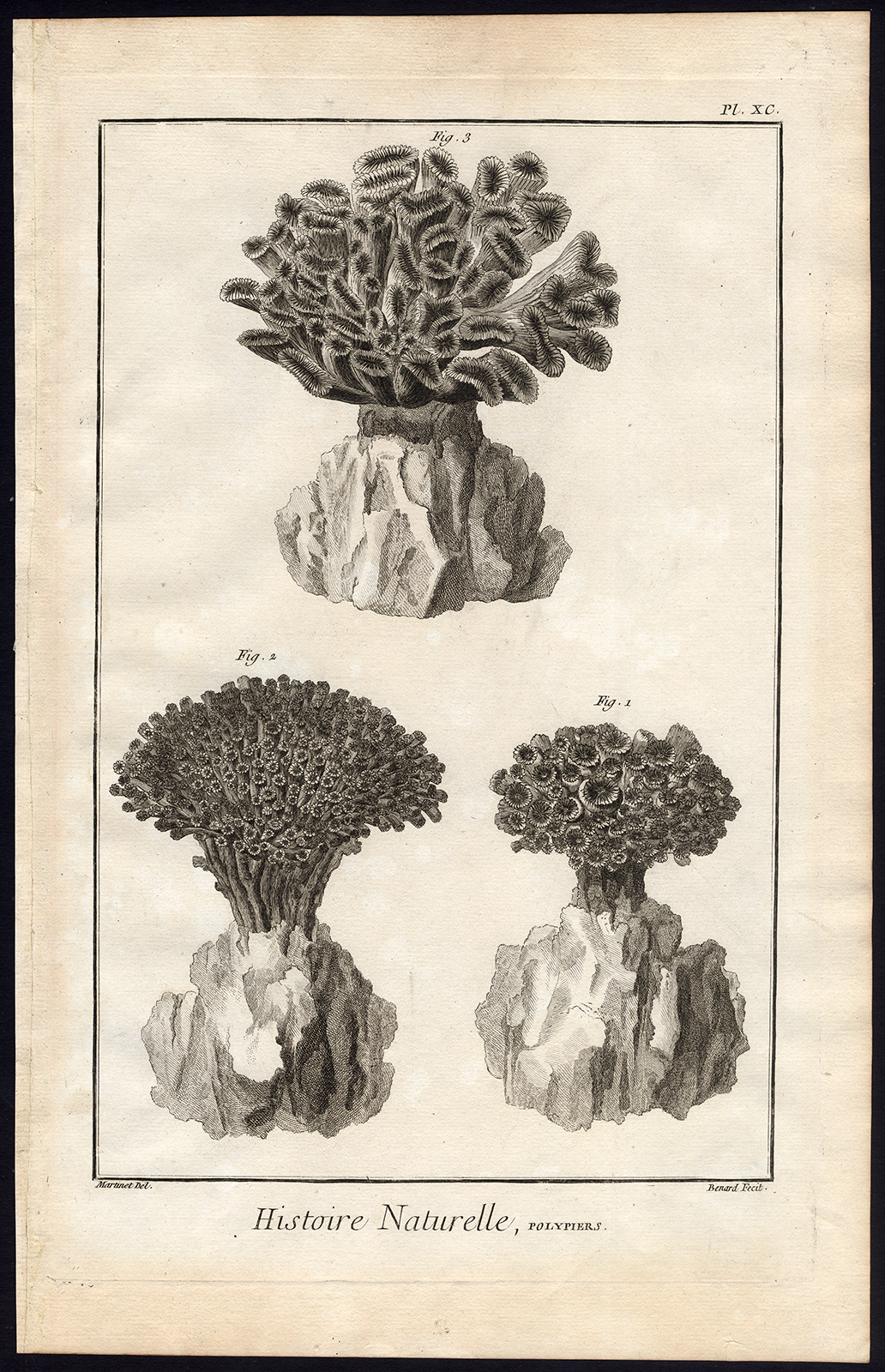 , Antique Print-POLYP-SEA ANEMONE-CORAL-Martinet-Diderot-1751, Pictura Antique Prints