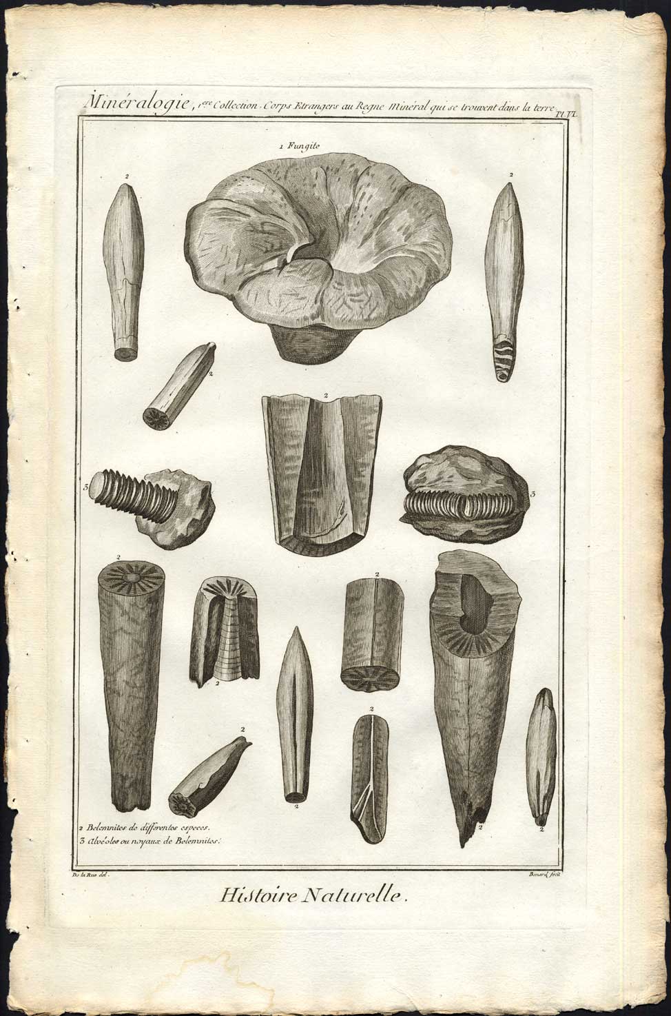 Bb09302 416x630 Antique Print-CEPHALOPOD-FOSSILIZED MARINE ANIMAL-FOSSIL-Diderot-1751
