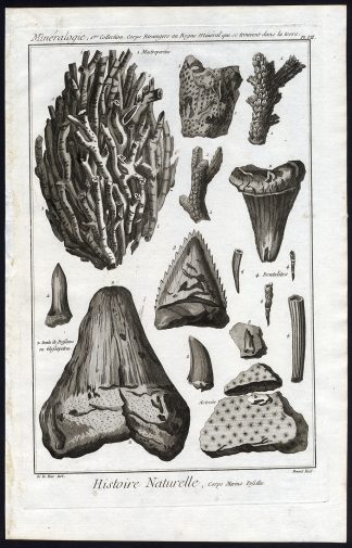 Antique Print-CORAL-TUSK SHELL-FOSSILIZED MARINE ANIMAL-FOSSIL-Diderot-1751