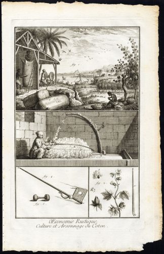 5 Antique Prints-AGRICULTURE-COTTON INDUSTRY-CLOTHING-ECONOMY-Diderot-1751
