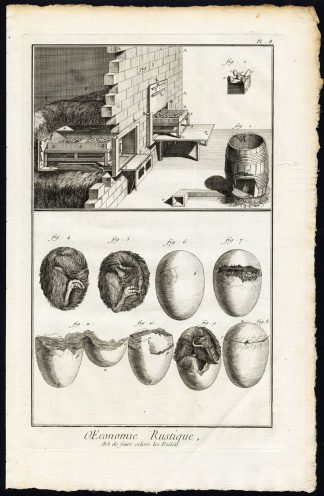 2 Antique Prints-AGRICULTURE-RURAL ECONOMY-FARMING-EGG-POULTRY-Diderot-1751