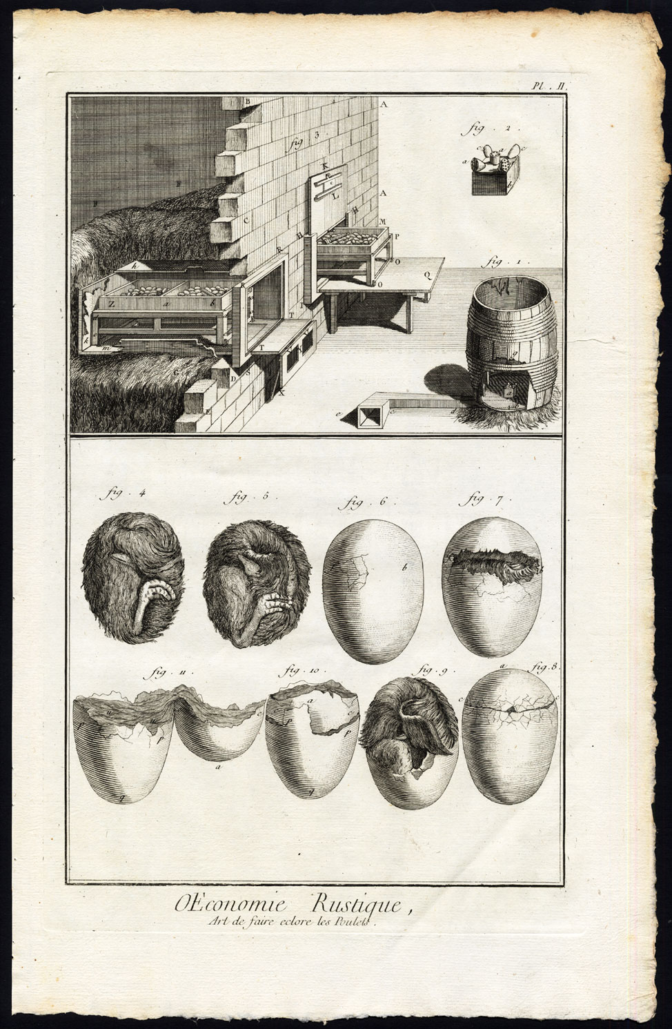 , 2 Antique Prints-AGRICULTURE-RURAL ECONOMY-FARMING-EGG-POULTRY-Diderot-1751, Pictura Antique Prints