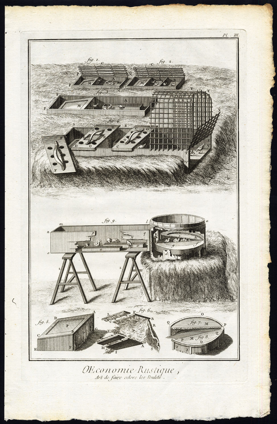 , 2 Antique Prints-AGRICULTURE-RURAL ECONOMY-FARMING-EGG-POULTRY-Diderot-1751, Pictura Antique Prints