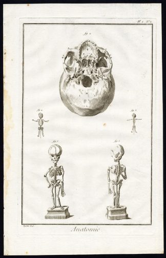 Antique Print-HUMAN ANATOMY-SKELETON-FOETUS-SKULL-Diderot-Prevost-1751