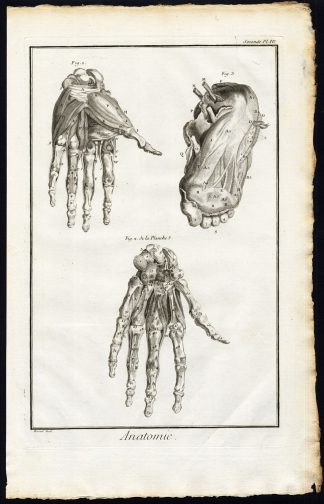 Antique Print-HUMAN ANATOMY-HAND-FOOT-BONES-Diderot-Prevost-1751